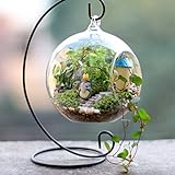 Fityle 2ピース入り　　白色　植物　スタンド　ホルダー　吊りスタンド ディスプレイ 園芸 インテリア ホルダー 園庭 装飾的　