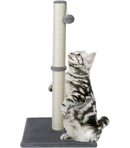 arduino automatic cat litter box Purobot Crystal Duo Automatic Cat Litter Box with Camera