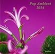 POP AMBIENT 2014 (期間限定価格盤)