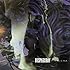 D'espairsRay「FINAL CALL(初回限定盤A)」