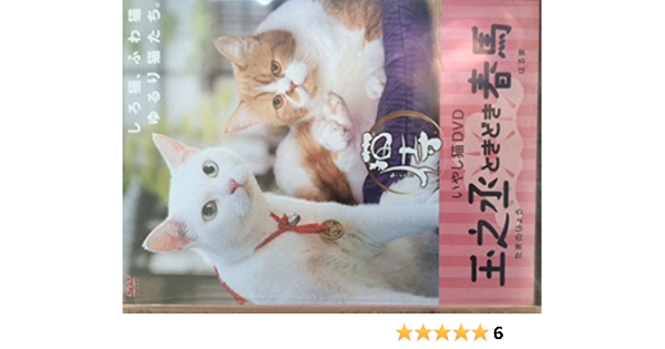Amazon Co Jp いやし猫dvd 猫侍 玉之丞ときどき春馬 Dvd ブルーレイ