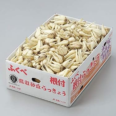 Amazon.co.jp ほしい物ランキング: らっきょう で、ほしい物リストと