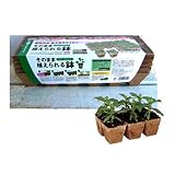 ジフィーストリップ5cm12個連結5枚入り 2個セット ノーブランド品