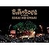 SEKAI NO OWARI「炎と森のカーニバル in 2013」
