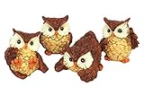 ガーデン オブジェ・置物 セット （ミニふくろう・4種） QZL7180