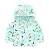 エルフ ベビー(Fairy Baby) ベビー服夏パーカー ジャケットフード付き アウター 冷房対策 薄手 長袖 恐竜柄 size 100 (ブルー)