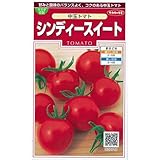 シンディースイート (中玉トマトの種) 小袋