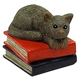 Copeau ( コポー ) 本の上でくつろぐ ネコ 71032