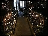 LUCKY CLOVER-A クリスマスカーニバルネットライト防水ハウス装飾ギフト（10m * 8m 2600 LED）