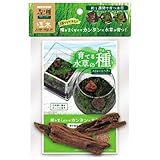ニッソー 育てる水草の種 ストレートヘアー&流木