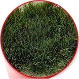 GREEN STUFF WORLD グリーンスタッフワールド 草むら 長さ22mm ダークグリーン 22個入 ホビー用素材 GSWD-11448