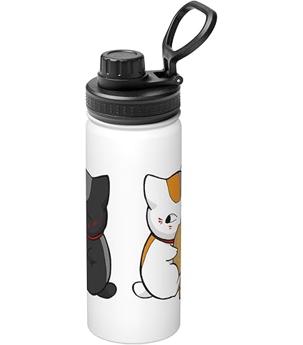 Amazon.co.jp: 水筒 夏目友人帳 魔法瓶 ニャンコ先生 水筒グッズ