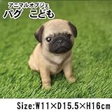 アニマルオブジェ パグ こども QY-8 本物みたいなアニマルオブジェ
