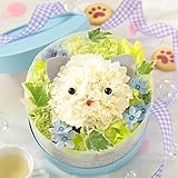 BunBunBee ペットフラワー♪アレンジ「にゃんこと季節の花」ブルーの小箱