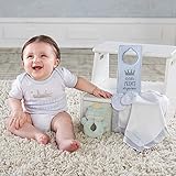 ベビーアスペン baby ASPEN 男の子用リトルプリンス出産祝いウェルカム超豪華6点セット（専用バスケット入り） [並行輸入品]