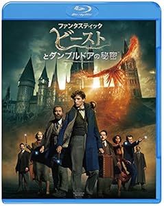 ワーナー・ブラザース・ホームエンターテイメント ファンタスティック・ビーストとダンブルドアの秘密 ブルーレイ&DVDセット (2枚組)