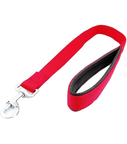 Amazon | segawa 瀬川 ドイツナメシ革 ショート 短引 皮リード 12mm