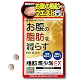 脂肪減少源EX 60粒入り（30日分）機能性表示食品 肥満気味な方の体重・お腹の脂肪・ウエスト周囲径を減らす助けに