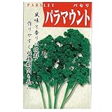 パセリ 種 パラマウント 小袋（約20ml）