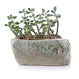 T4U 13.5CM 独創 ストーンシェイプ 多肉植物、サボテン鉢 フラワーポット プランター容器
