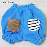 ファムベリー　かぼちゃパンツ (スカイブルー)