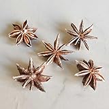 スターアニス　スノー5個入り【実】【ドライ】【木の実】