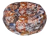 Ahh! Products Kittens Anti-Pill Fleece Washable Large Bean Bag Chair Plush [並行輸入品]