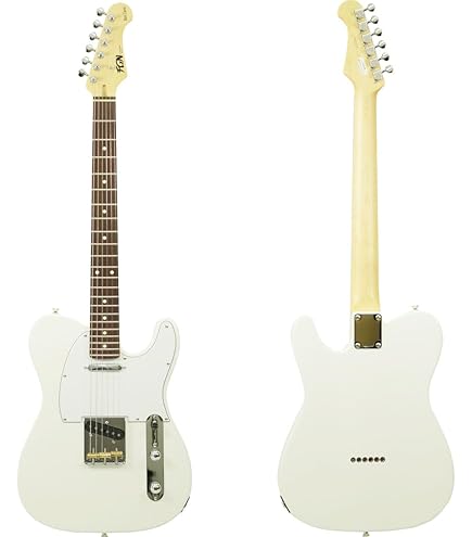Amazon | ストラトタイプ エレキギター フジゲン 日本製 Fujigen