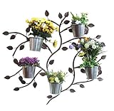 ZYH 創造的な鍛鉄工場のスタンド、壁にマウントされた蔓5つの花鍋のラックリビングルーム寝具服店92 * 83センチメートル 省スペース (色 : Brown)