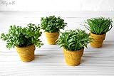 フェイクグリーン MiniGrassPot 4点セット （人工観葉植物）