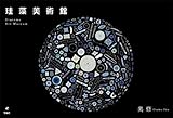 書評 珪藻美術館 Diatoms Art Museum by ぽんきち