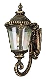 Bel Air Lighting 5040 RT 1-Light Coach Lantern [並行輸入品]