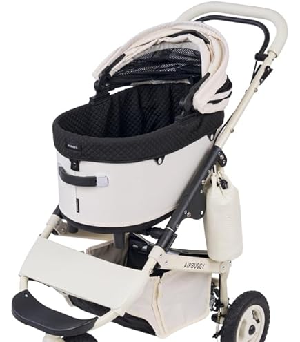 Amazon.co.jp: ドーム3 プレミアSPECIAL EDITION レギュラー アーバン