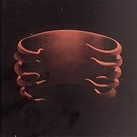 TOOL /FEAR INOCULUM 超限定5枚組LP未開封激レア最終値下げ TOOLの新作CD、やっと手に入れた | BIRKENHEAD ERKY