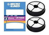 (2) Hoover 303902001 Exhaust HEPA Filters for WindTunnel Air Bagless UH70400