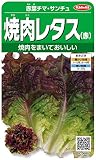 サカタのタネ 実咲野菜3685 赤葉チマ・サンチュ 焼肉レタス（赤） 10袋セット