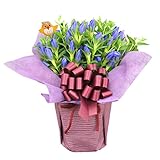 ほんまもん屋 敬老の日 ギフト フラワー りんどう 鉢植え 青