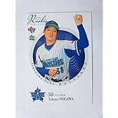 BBM2016ルーキーエディション■レギュラーカード■112野川拓斗/横浜DeNA≪ベースボールカード≫