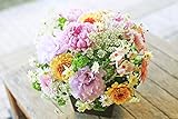 【 クール便 】 アレンジメントフラワー 生花 ギフト Mサイズ イメージ(MIX)大臣賞受賞デザイナー おまかせアレンジメント