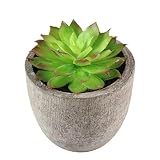 Zhhlinyuan Mini Potted Artificial Succulent Plants/Faux Plant for Arrangements Tabletop Decoration