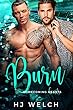 Burn (Homecoming Hearts Book 3) (English Edition)