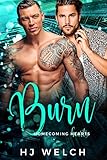 Burn (Homecoming Hearts Book 3) (English Edition)