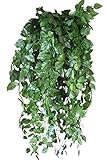 MedianField 【 造花 ポトス 葉 】 壁掛け 人工 観葉植物 壁 インテリア アンティーク 雑貨 フェイク 壁掛 グリーン 緑 植物 吊り (10本)