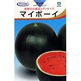 スイカ 種 【 マイボーイ 】 種子 小袋（約8粒）