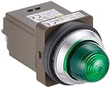 IDEC φ30 シリーズ パイロットライト 白熱球照光 丸形 AC200/220V APN128G