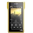 クロスフォレスト WALKMAN ウォークマン NW-WM1Z / NW-WM1A用 ガラスフィルム 液晶保護フィルム CF-GHWKWM1