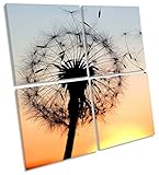 Dandelion clockサンセットフローラルマルチキャンバス壁アート正方形画像額入りプリント 150cm wide x 150cm high