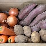 【MSKSHOP】野菜セット 玉ねぎ じゃがいも にんじん 万能野菜 4種類 使いやすい 約6kg (五郎島金時入り)