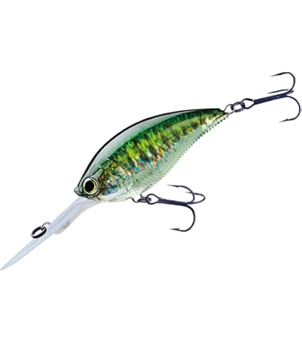 Amazon.co.jp: ノリーズ(Nories) ルアー ベジテーション フカベイト