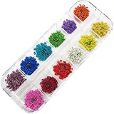 ドライフラワー【レース】押し花60枚 レジンアートやネイルに 12色×各5枚ケース入